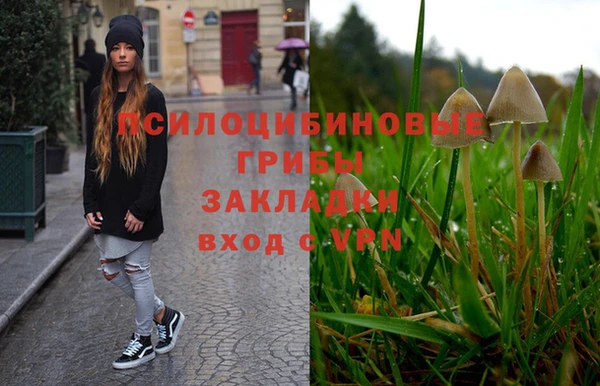молекула духа Алексин