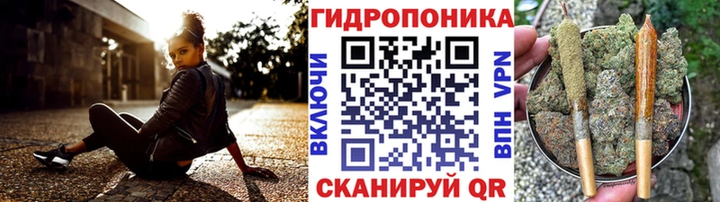 Марихуана индика  Сясьстрой 